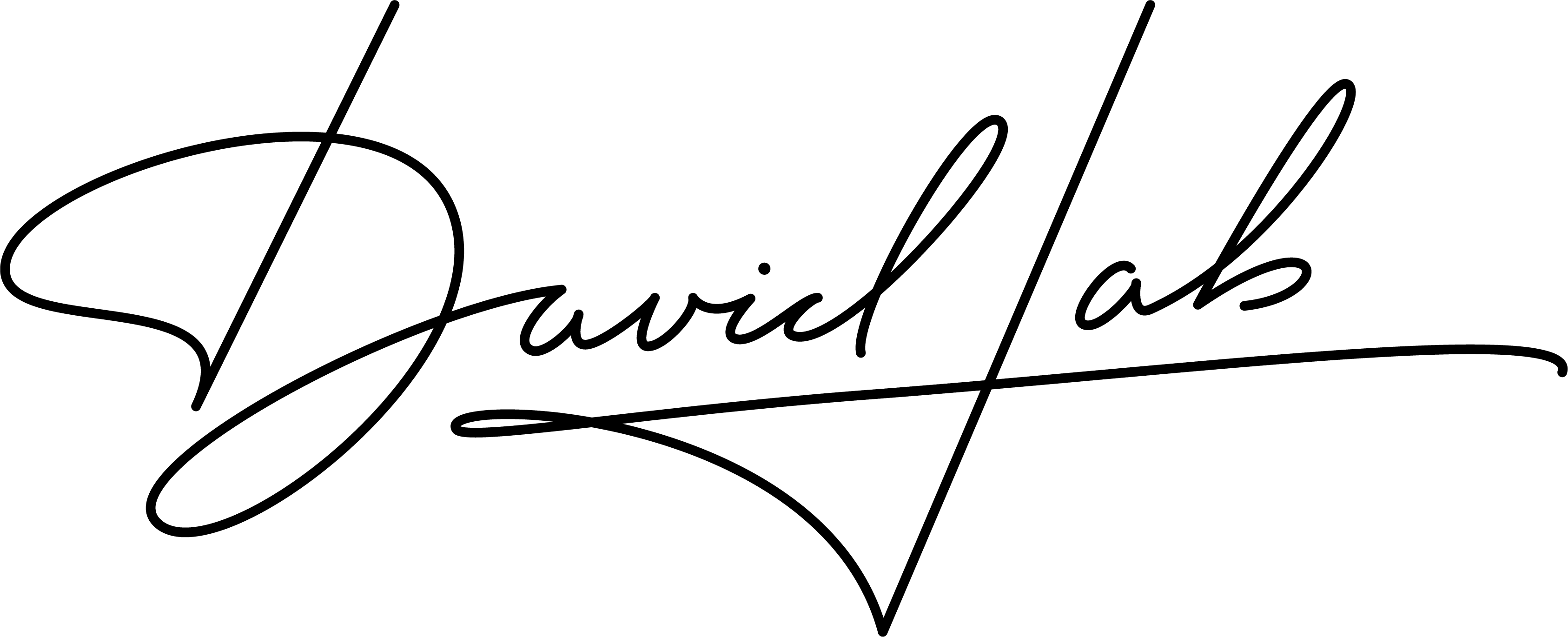 David Laborieux Signature